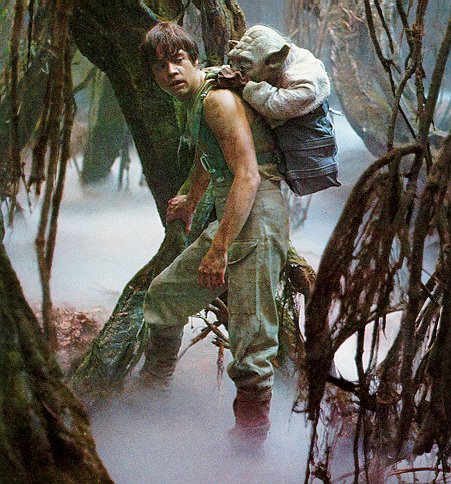 Yoda riding on Luke's back