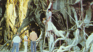 Working on the Dagobah set