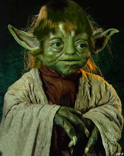 A mixture of Yoda and Luke