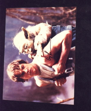 A picture of Yoda on Luke's back signed by George Lucas