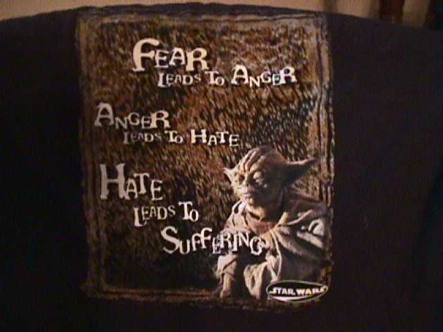 Back logo on the 'Fear...' t-shirt