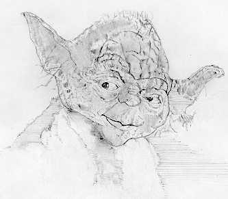 Another Yoda sketch