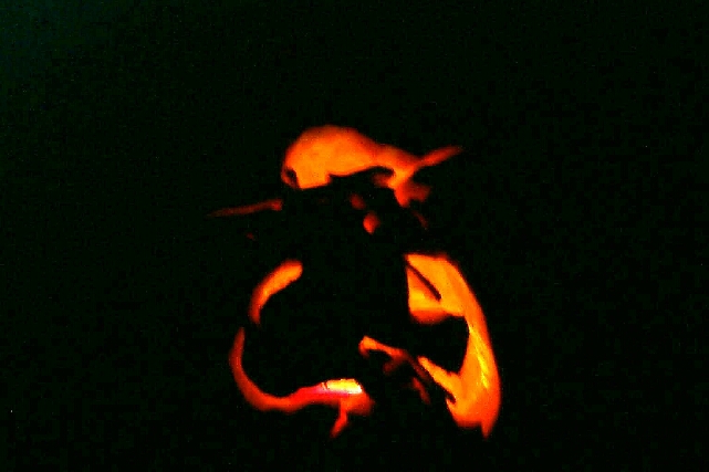 A lit-up Yoda pumpkin
