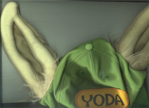 Yoda ears hat