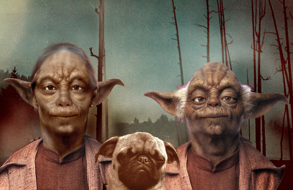 Computer-enhanced image of Yoda and his possible family
