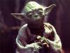 Large Yoda picture - 798x604