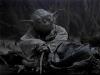 Yoda sitting by his backpack - 320x240