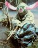 Yoda decided to be a bunny for halloween - 182x230