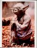 Yoda picture autographed by Frank Oz - 293x372