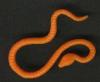 Yoda's orange snake - 405x333