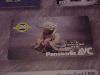 A Yoda Panasonic AVC card (from The Star Wars Scrapbook) - 320x240