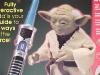 Interactive Yoda package advertisement - 640x480