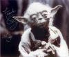 Frank Oz autographed Yoda picture - 423x347