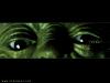 Yoda's eyes - 1024x768